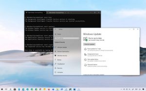 Restart Windows Update components